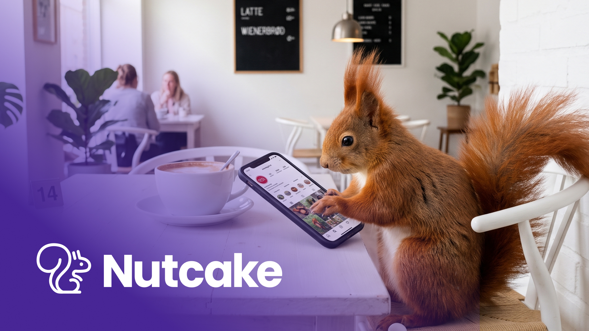 Nutcake